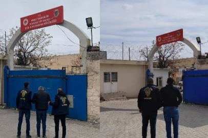 Mardin Polisi hırsızlara göz açtırmadı: 40 şahıs yakalandı