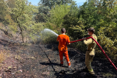 Sakarya Adapazarı'ndaki orman yangını kontrol altında