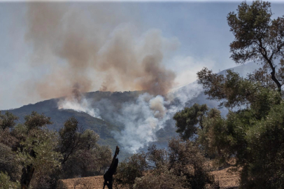 İzmir’in orman yangını risk haritası hazır