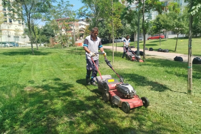 Gebze Tatlıkuyu Vadisi Kent Parkı'na düzenli bakım