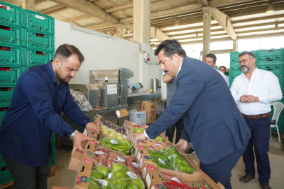 Bursa Yenişehir'in tarım ürünleri Libya yolunda... İlk numuneler gönderildi