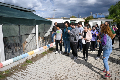 İzmir Bornova’da can dostlar için el ele
