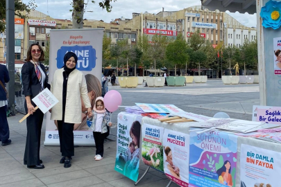 Emzirme Haftası'nda Sakarya'da annelere özel program