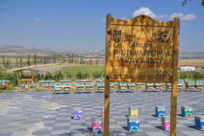 ABB'den arıcılık için dev proje