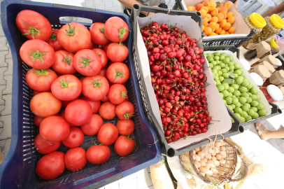 Efes Tarlası Yaşam Köyü’nde Üretici Pazarı 19 Ekim'de kapılarını açıyor