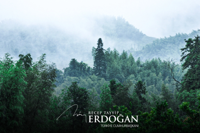 Cumhurbaşkanı Erdoğan’dan 'Yeşil Vatan Seferberliği' çağrısı