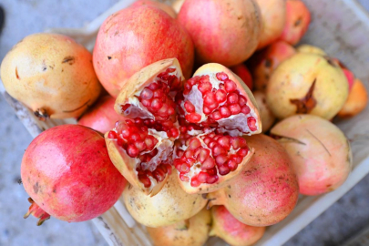 Mersin'de üreticilere nar taneleme ve sıkma makinesi desteği