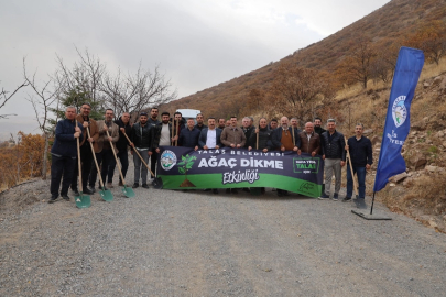 Ali Dağı'nın zirvesine bin 111 fidan