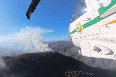 İran’daki orman yangınlarına Türkiye'den destek