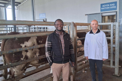 Kocaeli Büyükşehir mezbahasına örnek tesis vurgusu