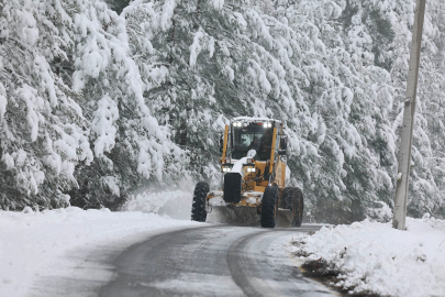 Sakarya'da kar alarmı