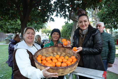 Antalya’nın turunçları kadın emeğiyle sofralara uzanıyor