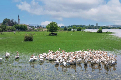 Bursa İnegöl Hamzabey’de doğa ile tarih buluşuyor
