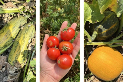 Balıkesir'de ‘ümit var’ sayısı 84’e yükseldi