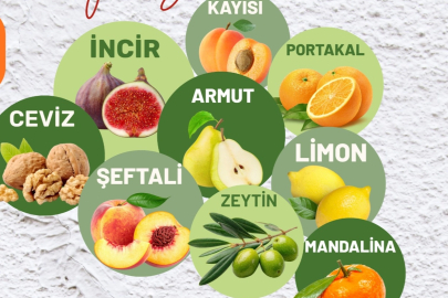 Muğla Milas'ta üreticilere fidan desteği sağlanacak