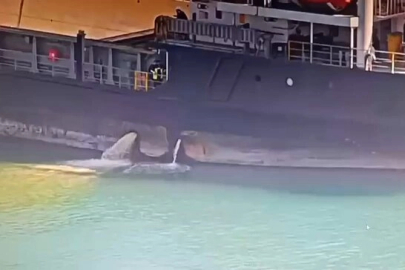 Mersin Limanı’nda denizi kirleten gemiye 13,1 milyon TL ceza