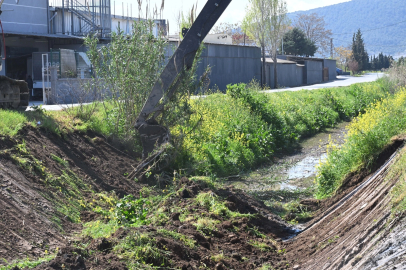 Manisa Akhisar’da dere temizliği