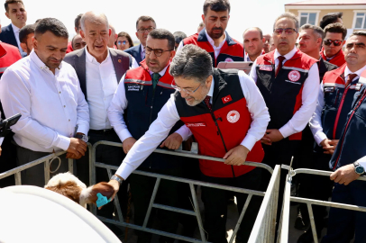 Hayvancılıkta dijital dönem... GEKİS Kars'ta uygulamaya alındı