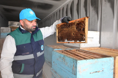 Manisa’da arıcıların peteklerine eksi 30 derecelik koruma